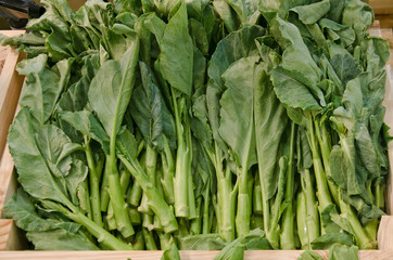 Fototapeta premium Chinese Kale. Green vegetable leaves, healthy eating, vegetarian food.