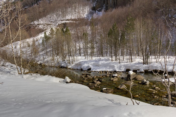 landscape of a national park in spain