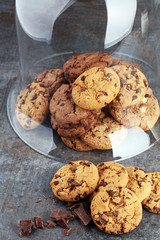 Chocolate cookies on white background. Chocolate chip cookies sh