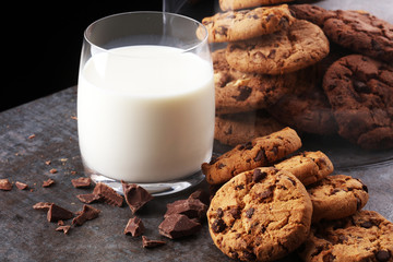 Chocolate cookies on white background. Chocolate chip cookies shot