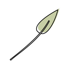 watercolor silhouette of small lanceolate leaf plant