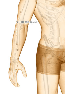 Drawing Acupuncture Point LI11 Quchi, 3D Illustration