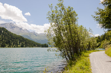 Champf&egrave;r, Champf&egrave;rsee, Seenplatte, Seeufer, Bergsee, Engadin, Oberengadin, Alpen, Wanderweg, Uferweg, Graub&uuml;nden, Sommer, Schweiz