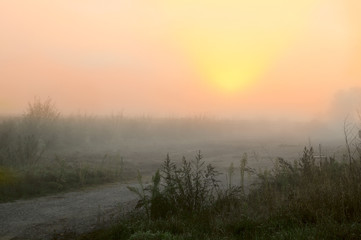 on the road in the foggy dawn