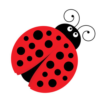 Vector Cute Cartoon Ladybug