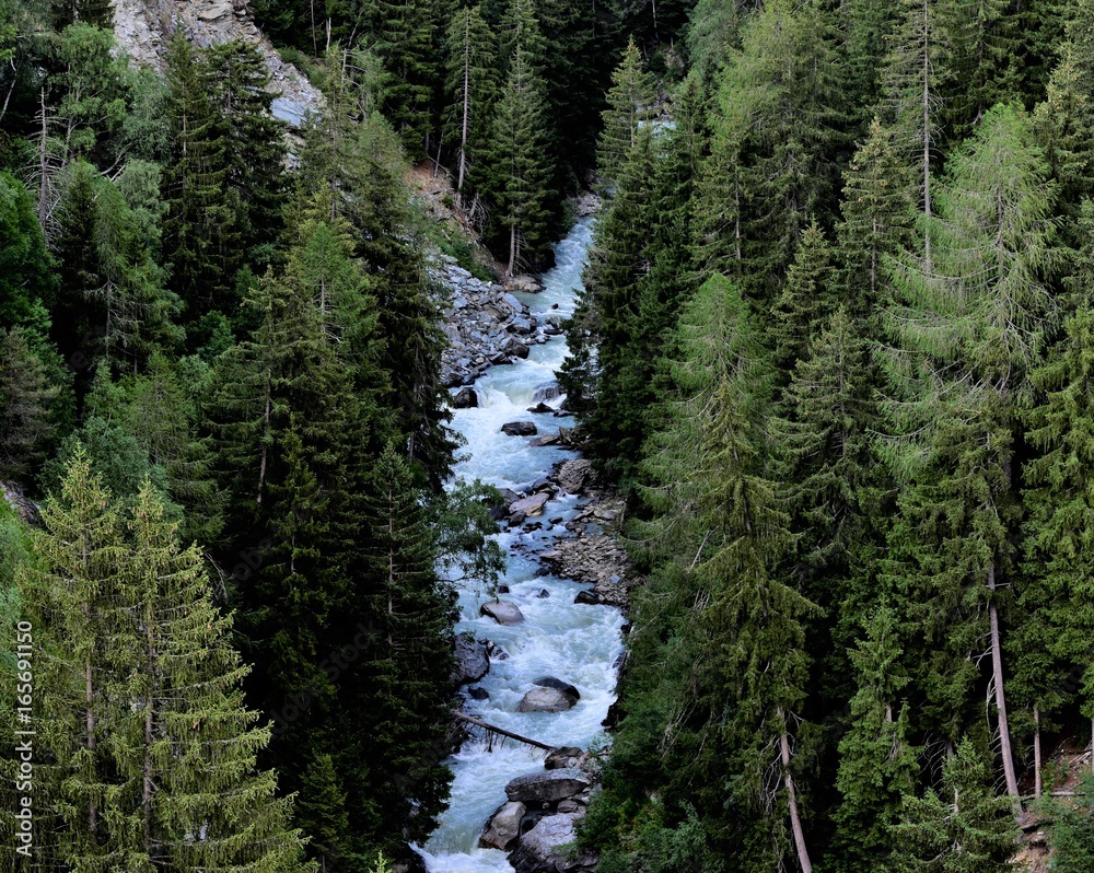 1000_F_165691150_bt2hQDsTyfCSqvoD8KCLET95qj0lenh5.jpg