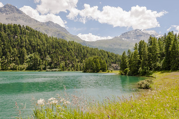 Champfèr, Champfèrsee, See, Seenplatte, St. Moritz, Wanderweg, Corvatsch, Alpen, Engadin, Oberengadin, Graubünden, Sommer, Schweiz