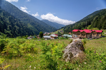 Obraz premium Ayder Plateau, Rize, Turkey.The Ayder Valley lies between Rize and Artvin.A popular destination for summer tourism.
