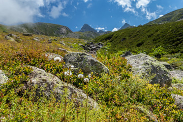 Fototapeta premium Landscape view of Kackar Mountains or simply Kackars, in Turkish Kackar Daglari or Kackarlar located in Rize, Turkey.