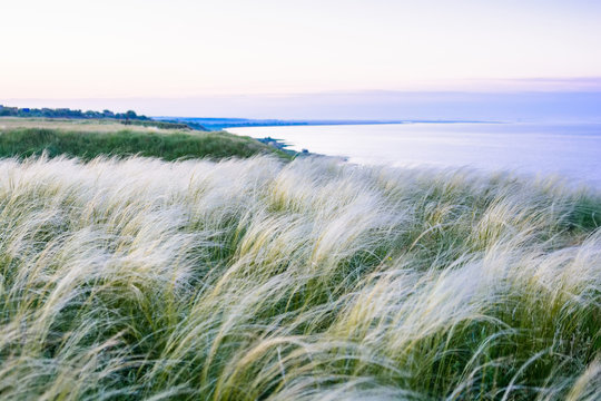 Field with feather grass Stipa beautiful landscape