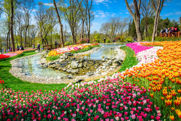 Obraz premium Traditional Tulip Festival in Emirgan Park, a historical urban park located in the Sariyer district of Istanbul, Turkey. Tourists visit and spend the weekend.ISTANBUL/TURKEY- APRIL 15,2017