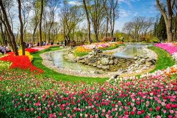 Obraz premium Traditional Tulip Festival in Emirgan Park, a historical urban park located in the Sariyer district of Istanbul, Turkey. Tourists visit and spend the weekend.ISTANBUL/TURKEY- APRIL 15,2017
