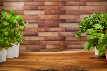 Fresh organic green wooden background