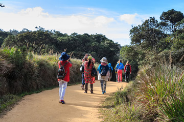 Group of travelers hike in Horton Plains