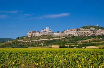 Fototapeta na wymiar Assisi, Umbria (Italy) - The awesome medieval stone town in Umbria region, with castle and the famous Saint Francis sanctuary.
