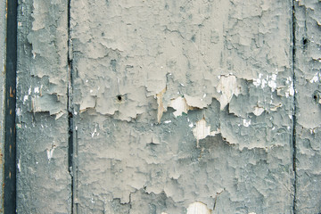 Organic background paint texture cracking and pealing fabulous design possibilities