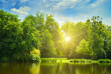 picturesque lake, summer forest on the banks and the sunrise