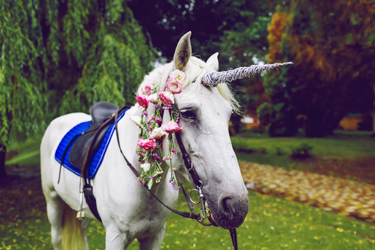 Horse dressed as a unicorn with the horn. Ideas for photoshoot. Wedding. Party. Outdoor