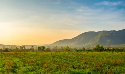 Deurstickers Morning Mountain view in Khao Yai National Park, Thailand © krachapol