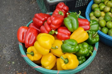 Colorful sweet bell peppers In the basket at local market