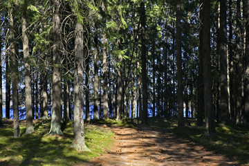 Landscape near Toropets. Tver Oblast. Russia