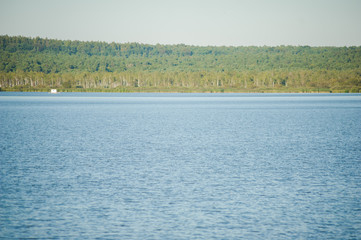 Wild forest lake