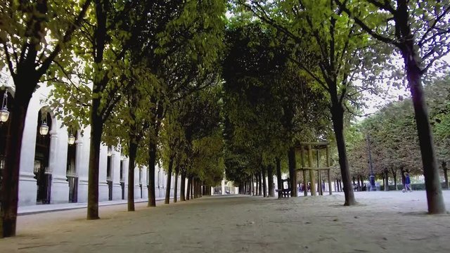 The grove of Palais Royal (Paris)
パレロワイヤルの木立