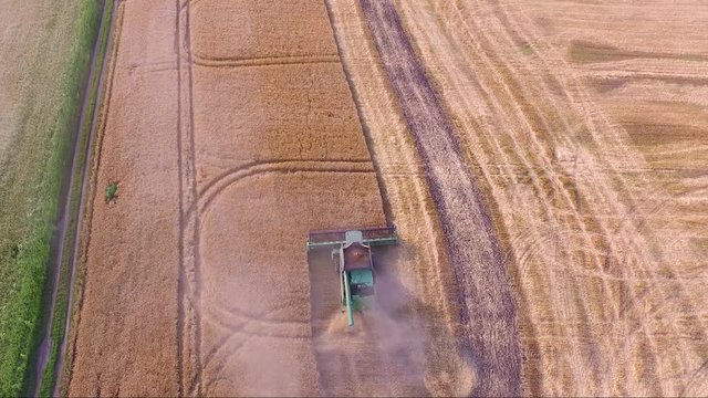 Combine harvesting wheat field. Aerial view.