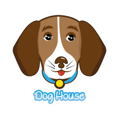 dog house