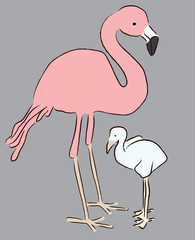 Pink flamingo mother and white baby chick abstract vector illustration on grey background