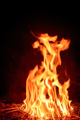 fire flame on dark background.Beautiful yellow, orange  blaze fire flame texture style.
