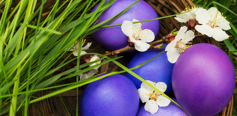 Easter eggs in a wicker basket close-up