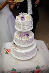 Obraz na płótnie Canvas Wedding cake cutting