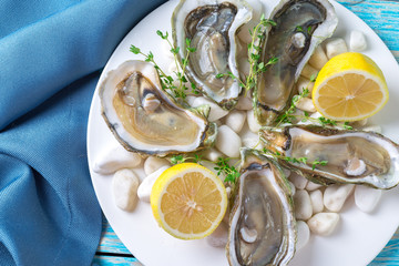 raw oysters with lemon and ice