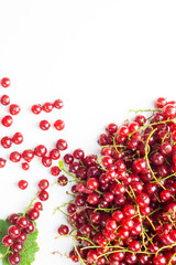 Close-up of fresh redcurrant, background / texture