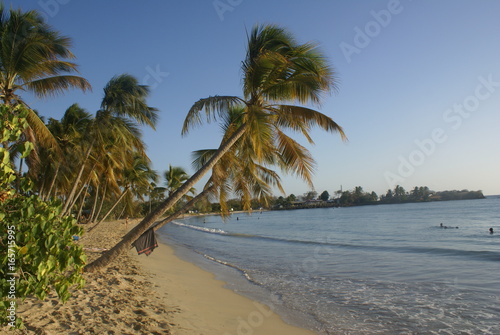 Plage De Sainte Anne En Martinique Stock Photo And Royalty