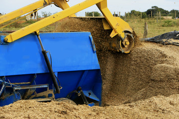 fAZENDA DE GADO