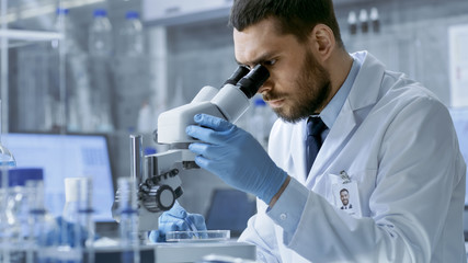 In a Modern Laboratory Chief Research Scientist looks in a Microscope.