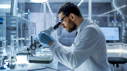 In a Modern Laboratory Chief Research Scientist Examining Substance in a Petri Dish Under Microscope.