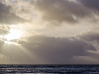 Obraz premium Bord de mer