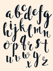 Calligraphic vector font. Handwritten alphabet in brush style. Hand Lettering. Modern Typography.