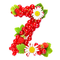 Letter Z English alphabet in the form of a pattern of red currant berries and white flowers and leaves on a white background