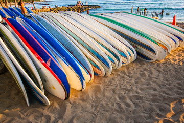 Surfboards for everyone