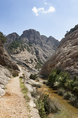 Fototapeta na wymiar River gorge in Spain