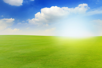 Fototapeta na wymiar Beautiful landscape of Green meadow under blue sky with white clouds