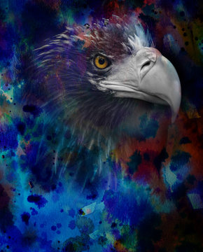 photo of eagle head on a watercolor background