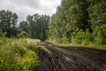 Fototapeta na wymiar muddy road running along the forest