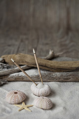 Martimes Stillleben mit Räucherstäbchen