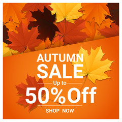 Autumn sale banner with colorful leaves , vector , illustration