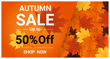 Autumn sale banner with colorful leaves , vector , illustration